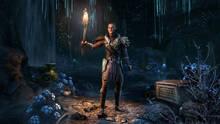 Imagen 25 de The Elder Scrolls Online: Greymoor