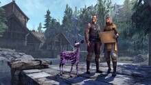 Imagen 57 de The Elder Scrolls Online: Greymoor