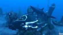 Imagen 20 de Tomb Raider Underworld