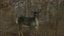 Imagen 2 de Pro Deer Hunting