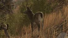 Imagen 11 de Pro Deer Hunting