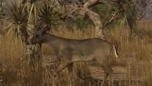 Imagen 8 de Pro Deer Hunting