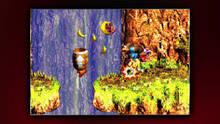 Imagen 29 de Donkey Kong Country 3: Dixie Kong's Double Trouble CV