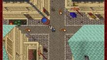 Imagen 5 de Tibia