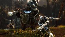 Imagen 27 de Kingdoms of Amalur: Re-Reckoning