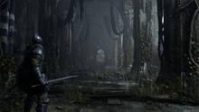 Imagen 5 de Demon's Souls Remake
