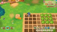 Imagen 72 de Story of Seasons: Friends of Mineral Town