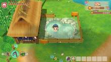 Imagen 71 de Story of Seasons: Friends of Mineral Town