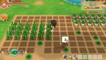Imagen 64 de Story of Seasons: Friends of Mineral Town