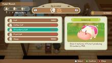 Imagen 69 de Story of Seasons: Friends of Mineral Town