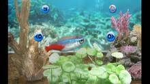 Imagen 7 de My Aquarium