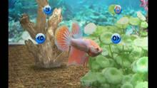 Imagen 6 de My Aquarium