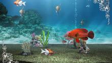 Imagen 9 de My Aquarium