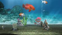 Imagen 19 de My Aquarium