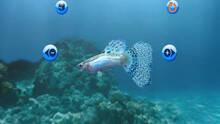 Imagen 17 de My Aquarium