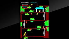 Imagen 12 de Arcade Archives Kangaroo