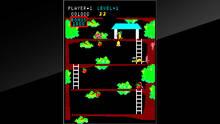 Imagen 10 de Arcade Archives Kangaroo