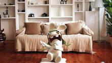 Imagen 5 de Rayman Raving Rabbids TV Party