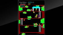Imagen 14 de Arcade Archives Kangaroo