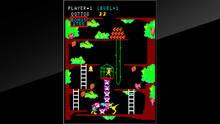 Imagen 16 de Arcade Archives Kangaroo