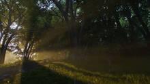 Imagen 33 de Fable