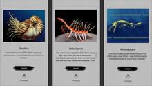 Imagen 5 de Jigsaw puzzle - Evolution