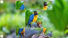 Imagen 6 de Puzzle Art: Birds