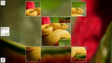 Imagen 3 de Puzzle Art: Snakes