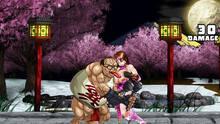 Imagen 5 de Strip Fighter 5: Chimpocon Edition