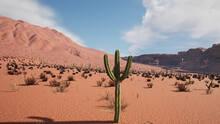 Imagen 3 de Cactus Simulator 2