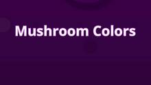 Imagen 2 de Mushroom Colors