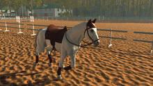 Imagen 15 de Gallop Glory: Obstacle Racing & Horse Simulator