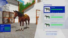 Imagen 16 de Gallop Glory: Obstacle Racing & Horse Simulator