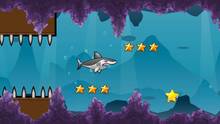 Imagen 14 de Shark Adventure