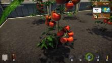 Imagen 8 de Market Gardener