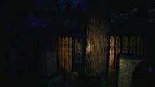 Imagen 14 de The Sinking Forest