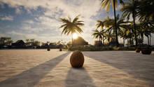 Imagen 4 de Coconut Simulator 2