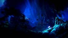 Imagen 35 de Ori and the Will of the Wisps