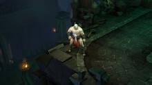 Imagen 43 de Diablo III