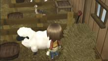 Imagen 28 de Harvest Moon: El rbol de la tranquilidad
