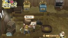 Imagen 27 de Harvest Moon: El rbol de la tranquilidad