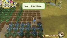 Imagen 26 de Harvest Moon: El rbol de la tranquilidad