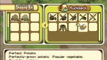 Imagen 25 de Harvest Moon: El rbol de la tranquilidad