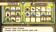 Imagen 24 de Harvest Moon: El rbol de la tranquilidad