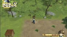 Imagen 9 de Harvest Moon: El rbol de la tranquilidad