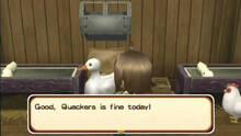 Imagen 17 de Harvest Moon: El rbol de la tranquilidad