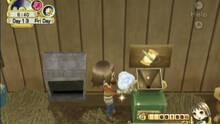 Imagen 16 de Harvest Moon: El rbol de la tranquilidad