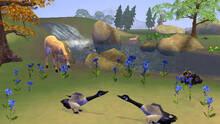Imagen 28 de SimAnimals