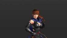 Imagen 31 de Ninja Gaiden: Master Collection