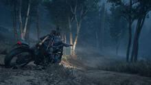 Imagen 126 de Days Gone